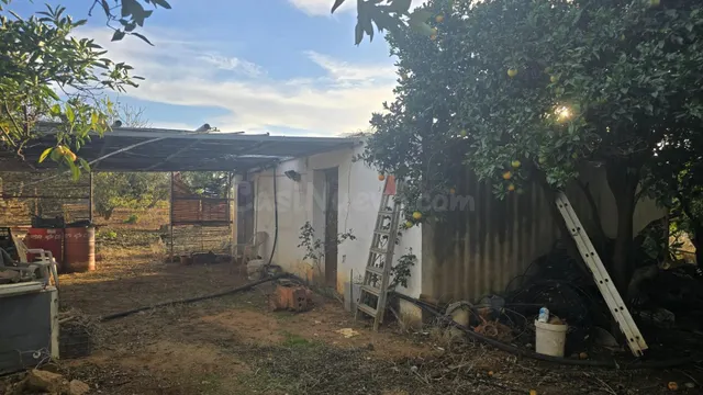 PARCELA -SEGREGADA CON REFUGIO EN ZONA PINAR DE LOS FRANCESE - foto 4