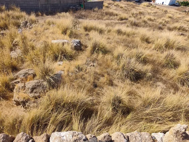 Terreno rústico agrario de 1.565 m2 en Malpaís, Candelaria - foto 4