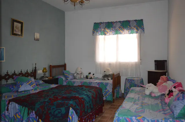 PLANTA BAJA EN VENTA CON PARCELA, LA MAGDALENA — 15
