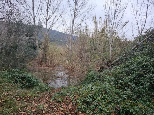 ANTIGUAS NAVES DE CERDOS EN VENTA — 14