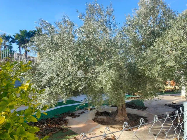 SE VENDE CHALET CON PISCINA EN MUY BUEN ESTADO EN ASPE ZONA DE UCHEL — 40