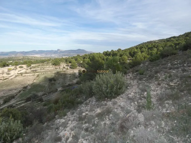 Parcela de 10.041m2 en Monovar - Collado Victoriano — 8