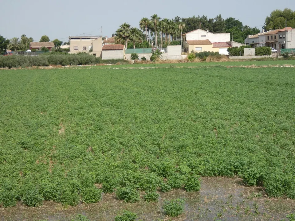 ++Terreno no urbano en Alguazas zona El Paraje++, 1513 m