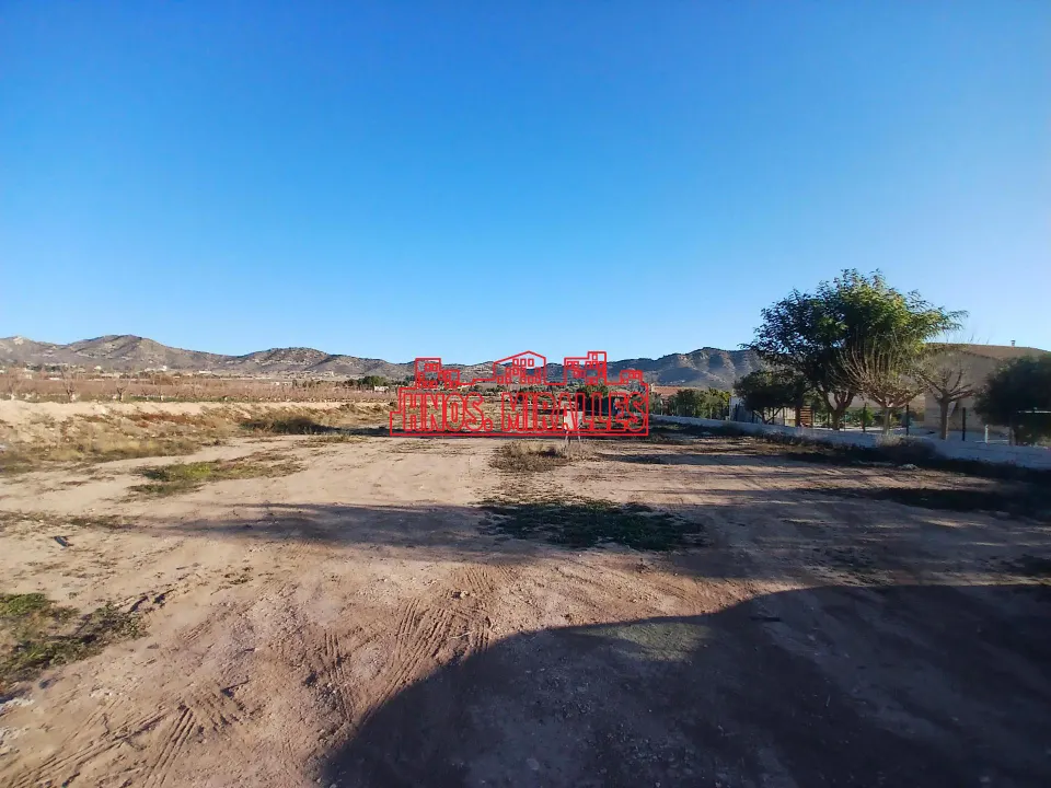 ¡¡ MAGNÍFICA PARCELA EN ASPE, 12.000 m2 !!