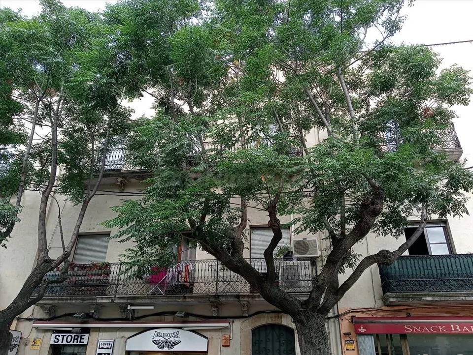 Almacén 39m² en venta - Pirineo de girona