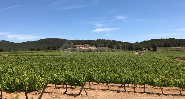 Finca rústica con dos casas a cinco minutos de Sitges. - foto 4