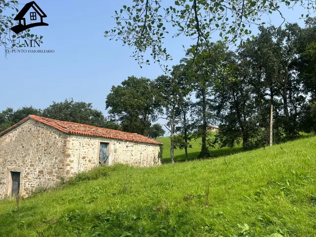 CONJUNTO DE CASA DE CAMPO, DOS CABAÑAS PASIEGAS Y FINCA RUST - foto 4