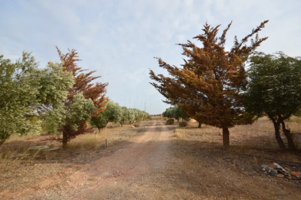 PLANTA BAJA EN VENTA CON PARCELA, LA MAGDALENA