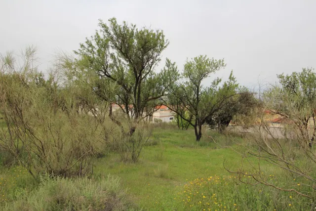 FINCA EN CORTIJO SAN JERÓNIMO (BARTODANO) — 12