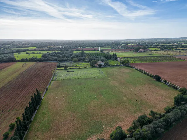 Magnifica finca rústica en la zona de Porreres. — 12