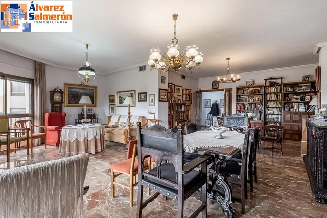 Pisazo en paseo del salón - Granada — 8
