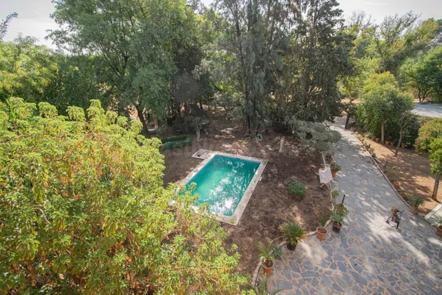 Espectacular finca en carretera mairena - almensilla !!! — 67