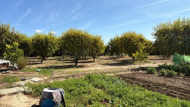 Terreno Rural en Ejea de los Caballeros — 4
