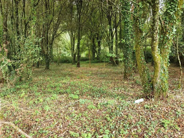 Finca en Presa del Rey, Narón - foto 5