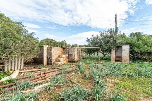 Magnifica finca rústica en la zona de Porreres. — 30