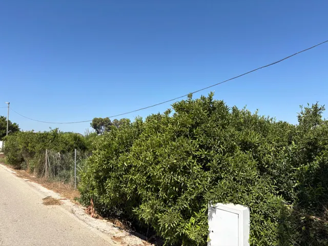 Se vende bonita parcela edificable en Zeneta (Alquerías) — 11