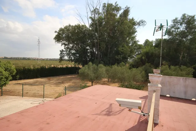 Excepcional Finca Rústica Recién Reformada con Piscina y 5.200 m2 de Parcela en El Pintado, Gibraleón — 13