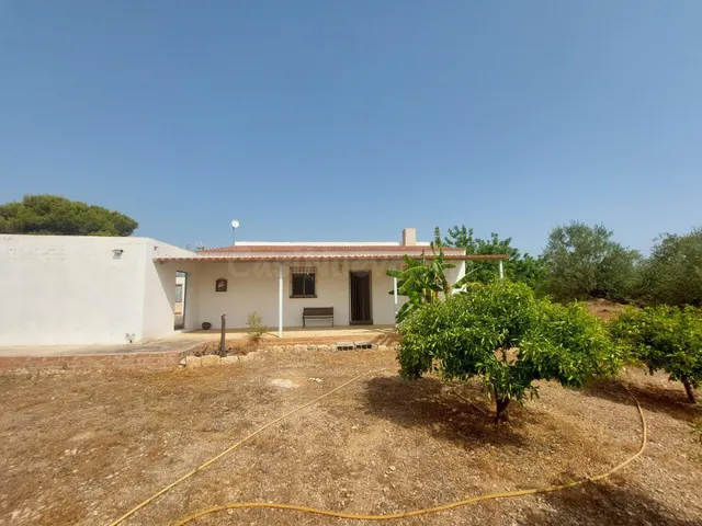 Refugio Idílico en el Corazón del Campo Mediterráneo por €45 - foto 2