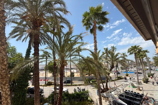Apartamento 3 habitaciones 117m² en venta - torrevieja — 43