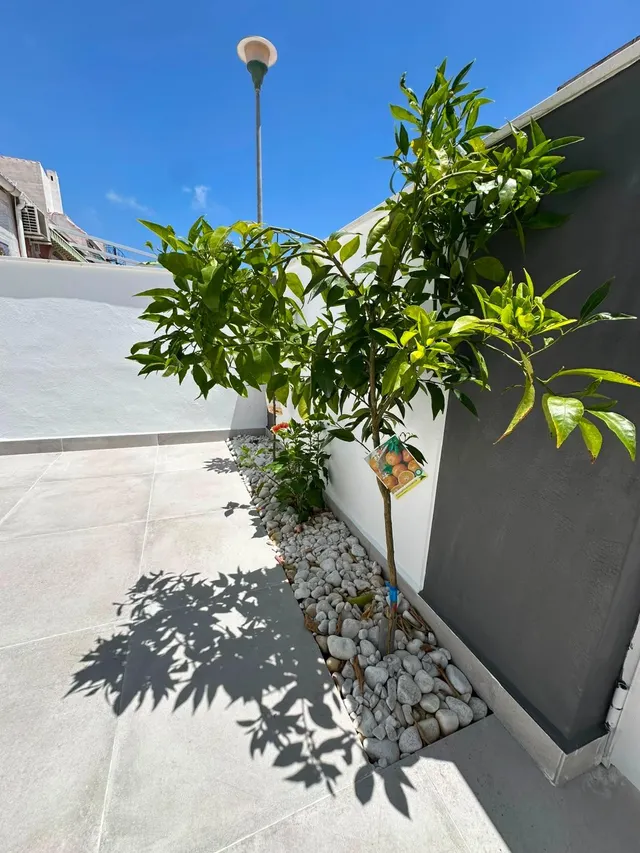 BUNGALOW ADOSADO DE 2 DORMITORIOS EN LA SIESTA (TORREVIEJA) — 6