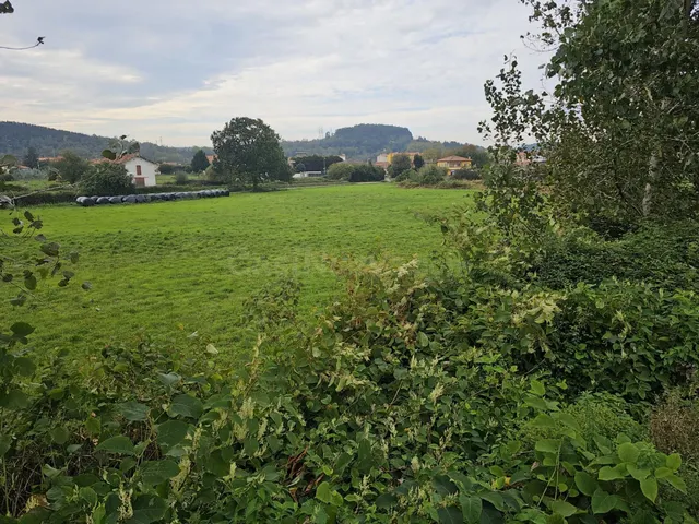 Terreno rural en venta - Tanos - foto 4