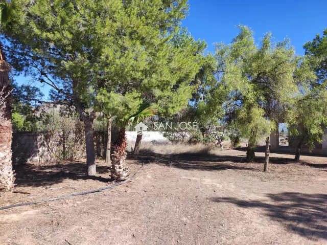 VENTA DE CHALET EN ASPE, ZONA CAMINO VIEJO DE HONDÓN — 31