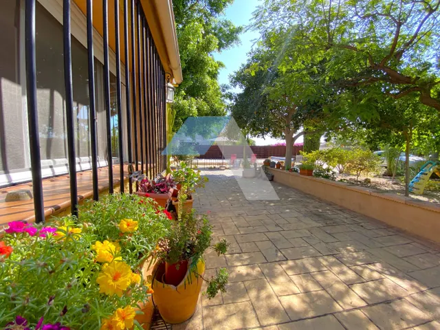Chalet independiente con piscina en gran parcela rústica, rodeado de pinos y olivos – A menos de 1 km del Polideportivo Municipal de San Vicente del Raspeig — 49