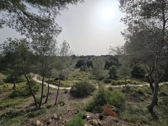 Fantástica villa independiente en Pinar de Campoverde — 45