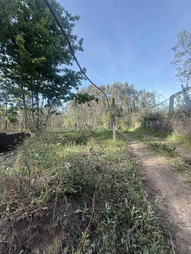 Terreno Rústico en venta - Arca e Ponte de Lima - foto 2