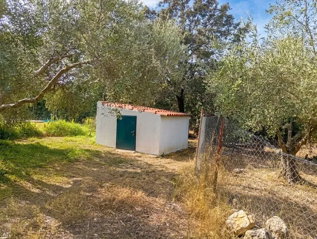 Chalet con piscina, bungalow y 2.500 m2 de parcela en Urbanización La Rocilla — 23
