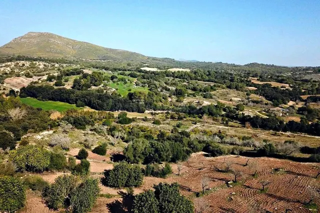 Casa de campo-Masía en Venta en Sant Llorenç Des Cardassar B - foto 4