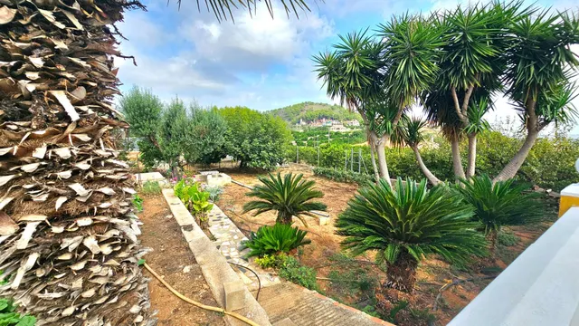 Encanto rural, tranquilidad y naturaleza en Les Coves (Corbera) — 14