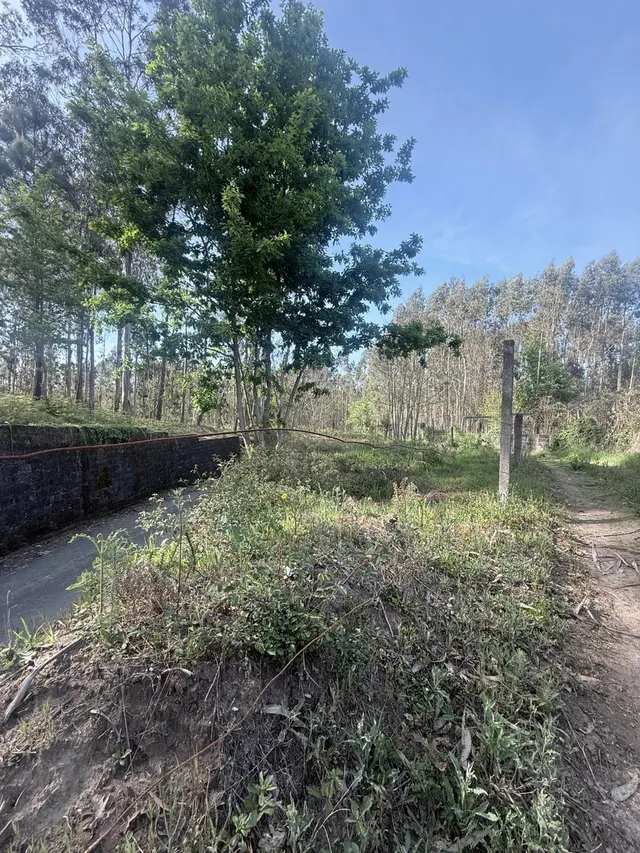 Terreno Rústico en venta - Arca e Ponte de Lima — 6