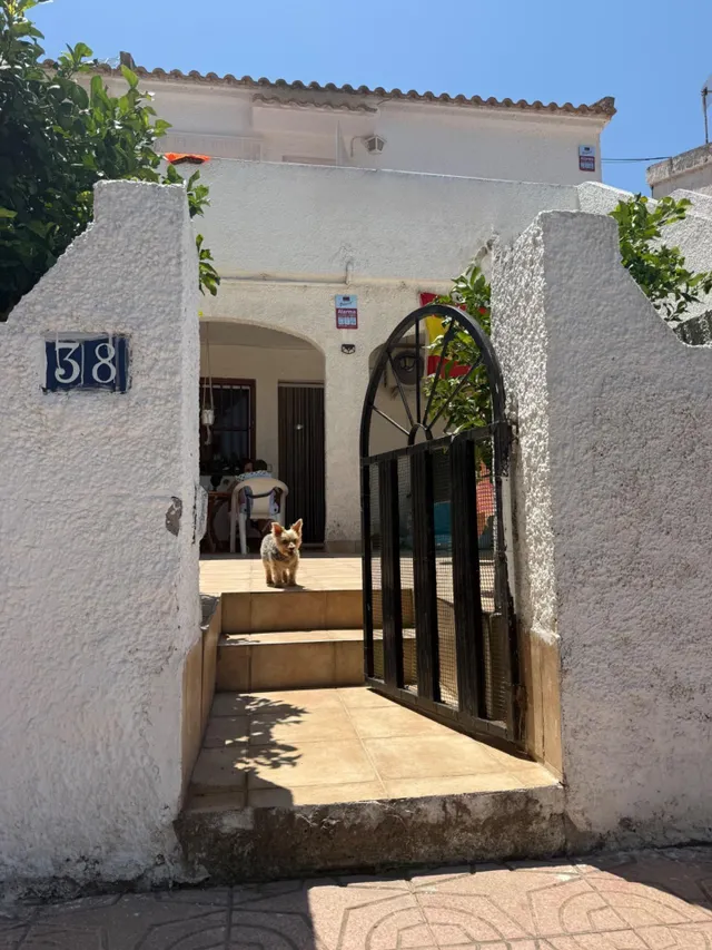 Encantador bungalow con amplia terraza privada y piscina comunitaria en El Chaparral, Torrevieja — 20