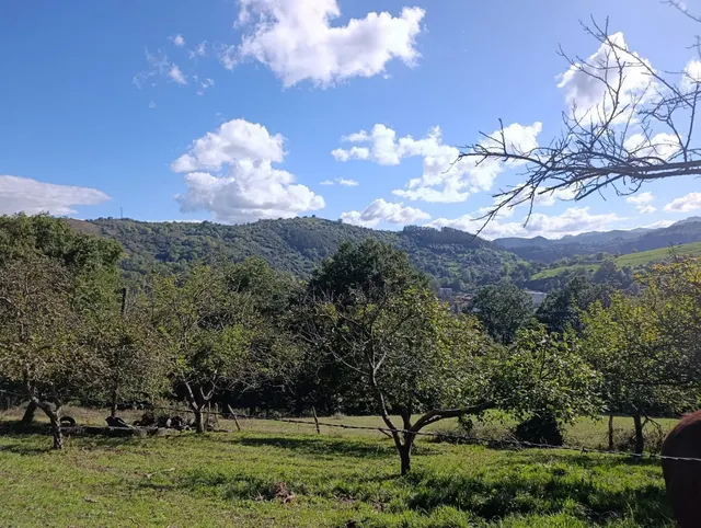 Terreno urbano en venta - Trubia — 26