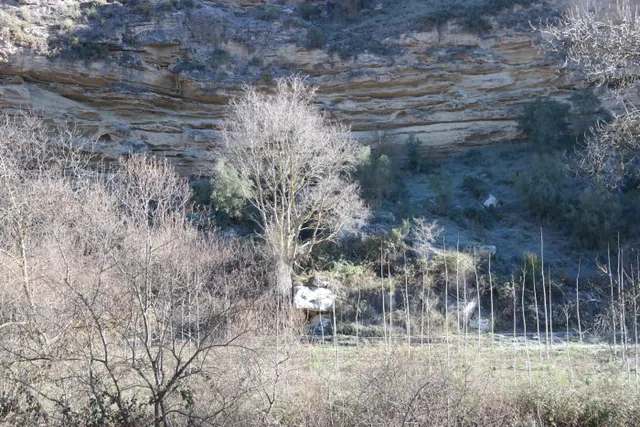 Los Tajos, monumento natural con casa y chiringuito. Finca en Alhama de Granada. — 26