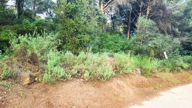 Terreno en Trasierra, en la zona Residencial el Jardinito — 2