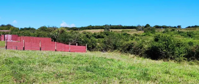 Construye tu hogar en el corazón de la naturaleza — 9