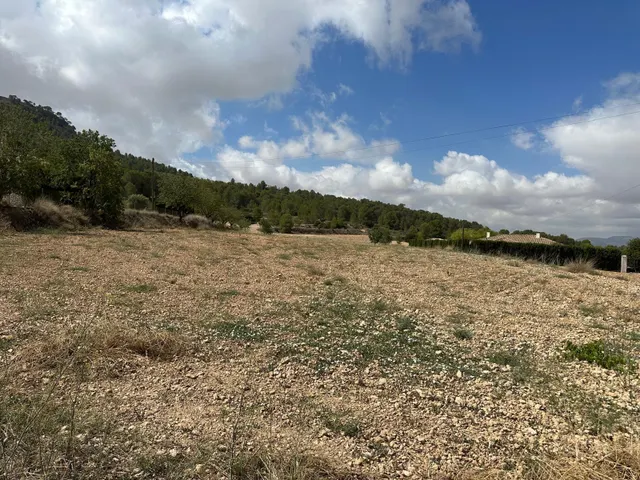 Parcela de 11000 metros — 8