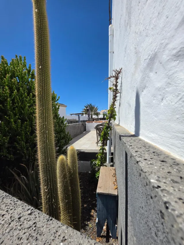 Encantadora propiedad en El Roque con excepcional azotea pri - foto 3