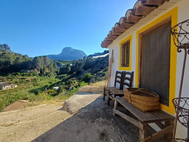 PARCELA DE TERRENO CON CASA CONSTRUIDA Y ARBOLES FRUTALES — 12