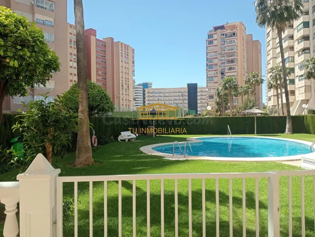 Piso de 60 m2 Reformado en Planta 11 • Rincón de Loix Bajo |