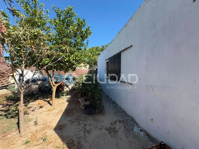 Terreno rústico con construcción e invernaderos - foto 5
