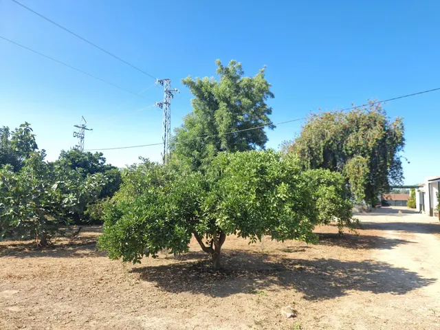 Finca rústica con dos viviendas, piscina y 56.000 m2 de tierras de regadío a 10 minutos de Jerez — 36