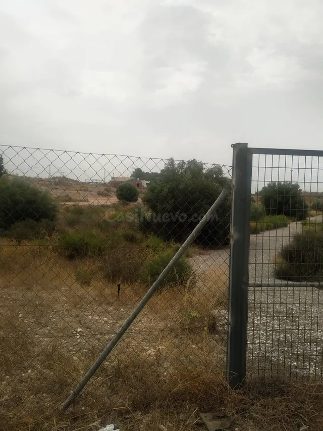 ¡Tu parcela de recreo o cultivo en La Albarda, a un paso de  - foto 4