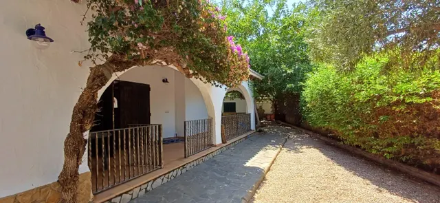 Alquiler anual  Chalet en zona Santa Lucía, con amplia parcela y todas las comodidades — 38