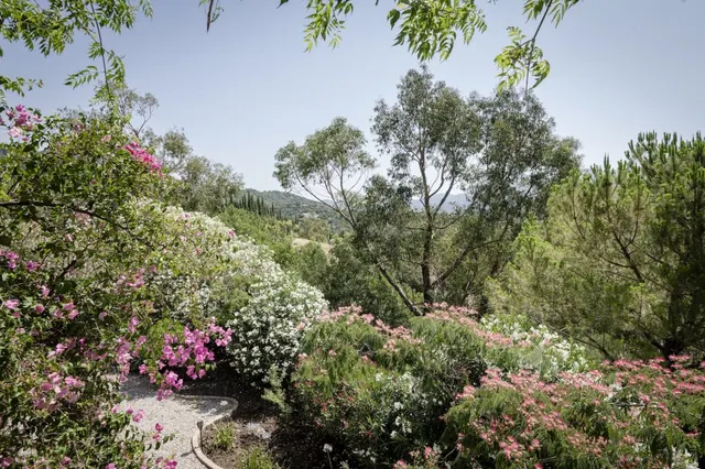 Casa-Chalet en Venta en Gaucín Málaga - foto 5