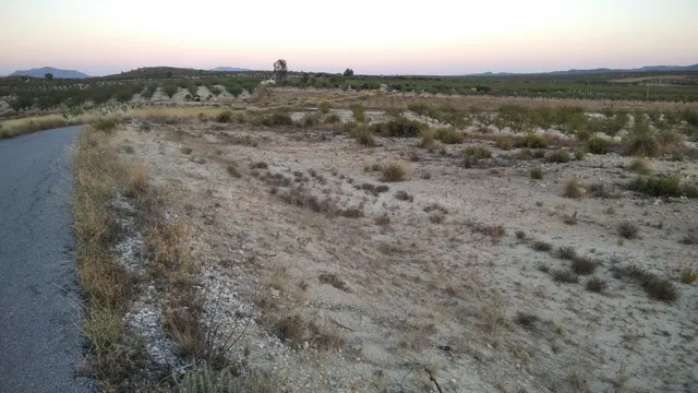 Parcela en venta - Calasparra