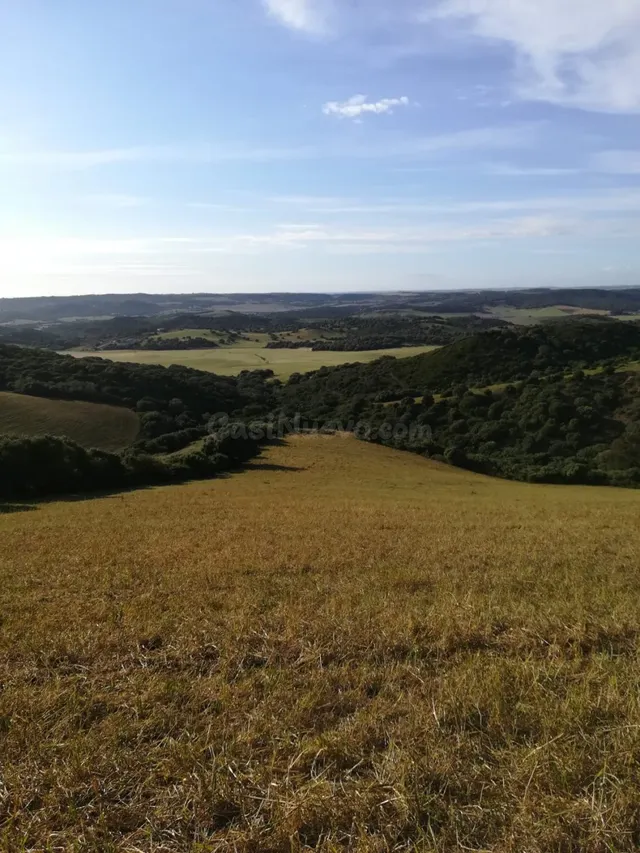 Parcela Rústica 32.000 m2. Zona Patria