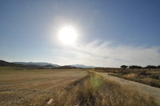 Parcela 2000m² en venta - Torre del rico - foto 5